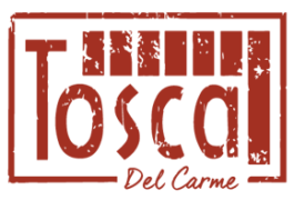 carme-carta-logo-rosa